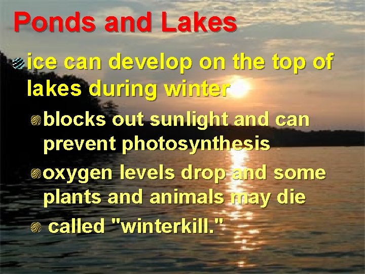 Ponds and Lakes ice can develop on the top of lakes during winter blocks