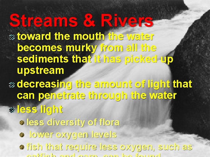 Streams & Rivers toward the mouth the water becomes murky from all the sediments