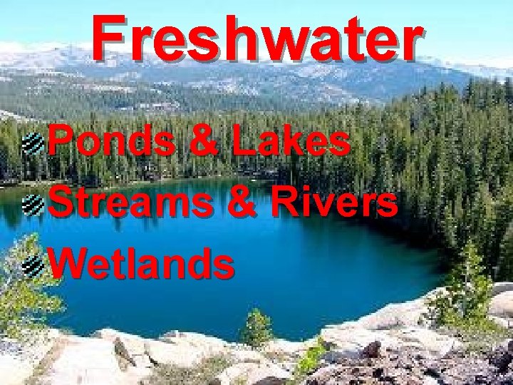 Freshwater Ponds & Lakes Streams & Rivers Wetlands 