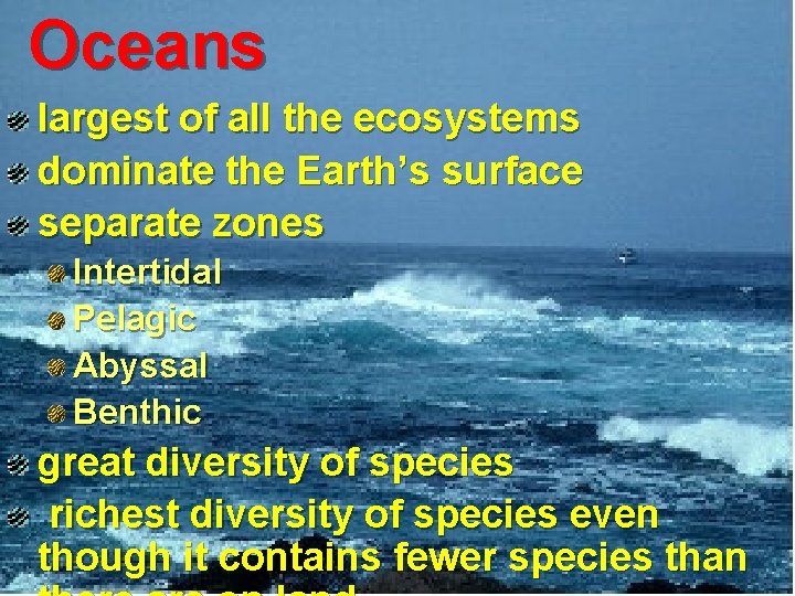 Oceans largest of all the ecosystems dominate the Earth’s surface separate zones Intertidal Pelagic