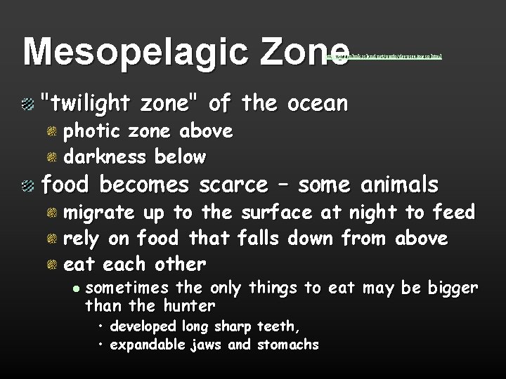 Mesopelagic Zone http: //oceanlink. island. net/oinfo/deepsea/meso. html "twilight zone" of the ocean photic zone