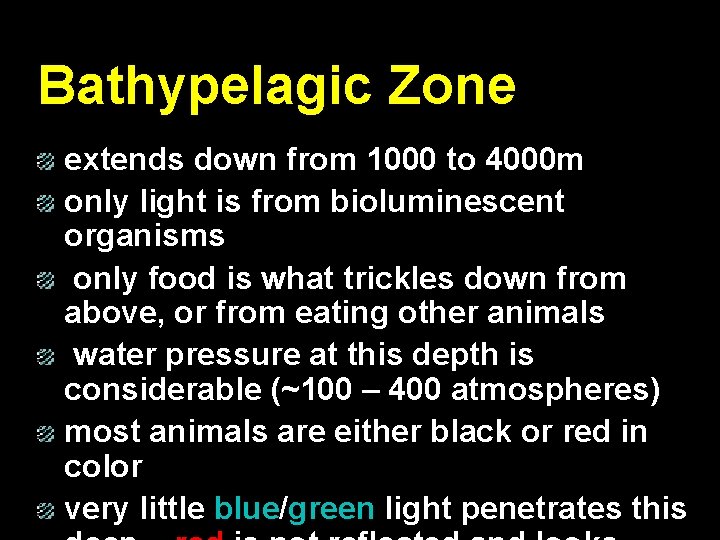 Bathypelagic Zone extends down from 1000 to 4000 m only light is from bioluminescent