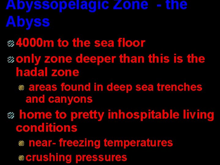Abyssopelagic Zone - the Abyss 4000 m to the sea floor only zone deeper