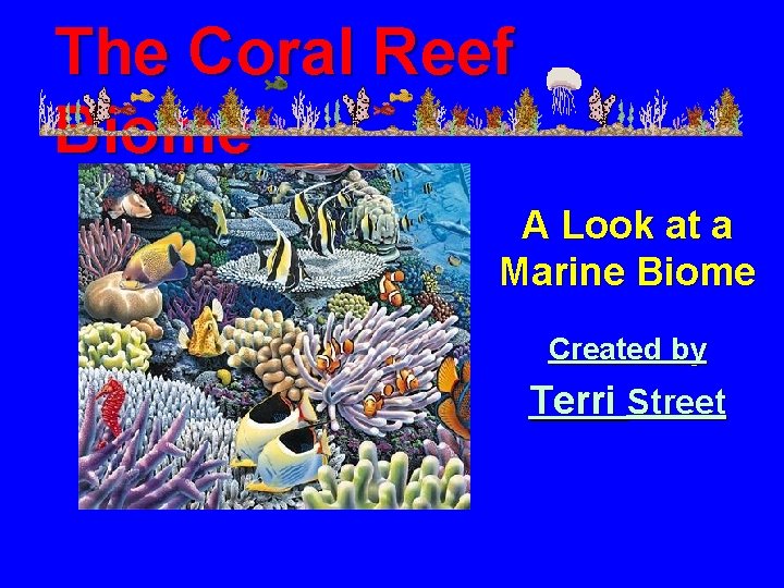 The Coral Reef Biome A Look at a Marine Biome Created by Terri Street