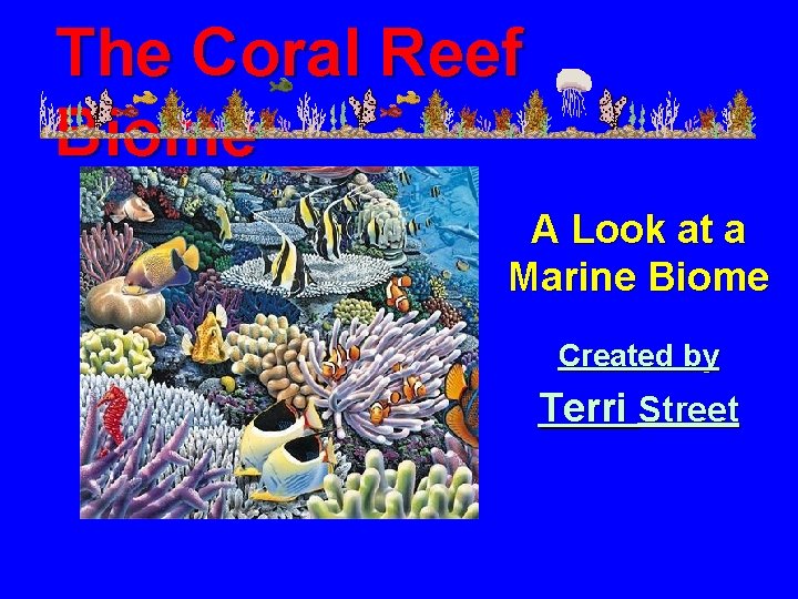 The Coral Reef Biome A Look at a Marine Biome Created by Terri Street