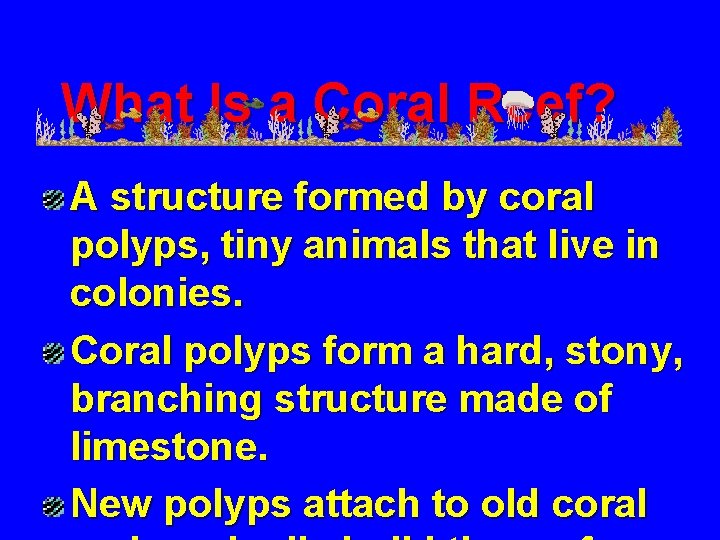 What Is a Coral Reef? A structure formed by coral polyps, tiny animals that