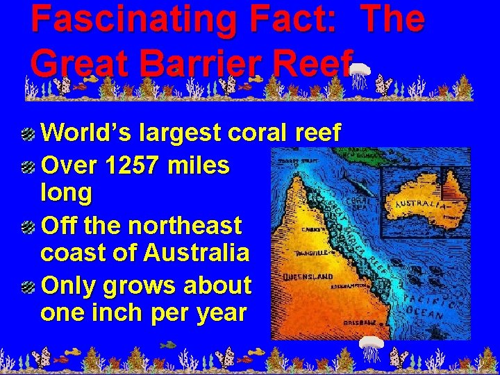 Fascinating Fact: The Great Barrier Reef World’s largest coral reef Over 1257 miles long
