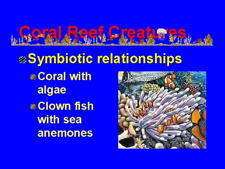 Coral Reef Creatures Symbiotic relationships Coral with algae Clown fish with sea anemones 