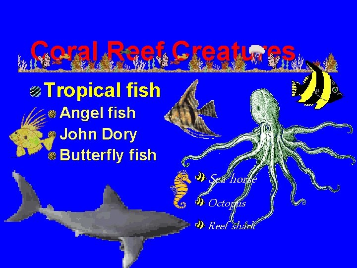 Coral Reef Creatures Tropical fish Angel fish John Dory Butterfly fish Sea horse Octopus