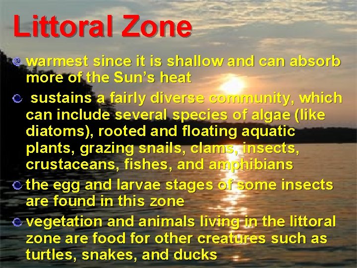 Littoral Zone warmest since it is shallow and can absorb more of the Sun’s