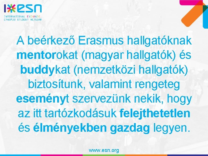 A beérkező Erasmus hallgatóknak mentorokat (magyar hallgatók) és buddykat (nemzetközi hallgatók) biztosítunk, valamint rengeteg