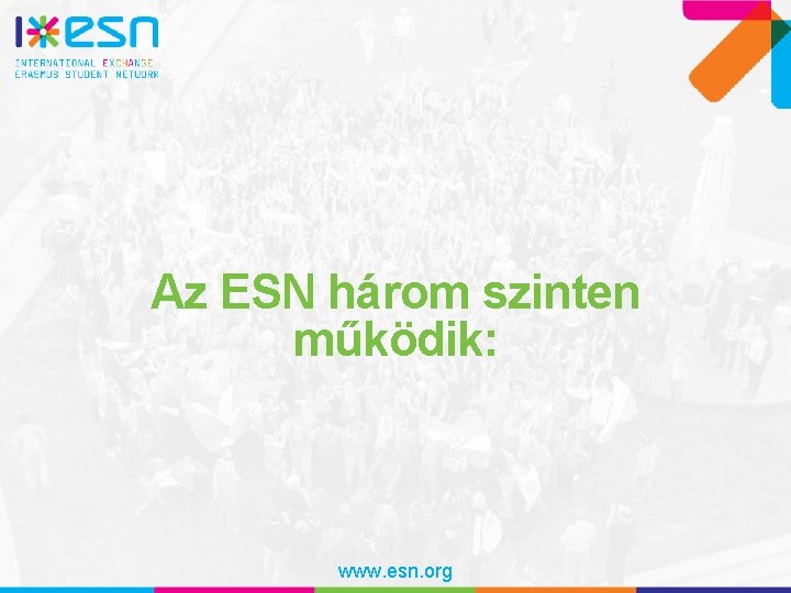 Az ESN három szinten működik: www. esn. org 