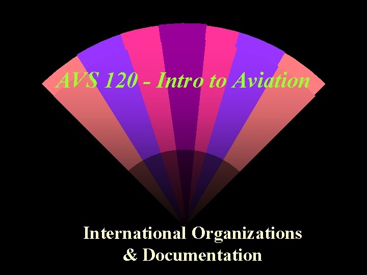 AVS 120 - Intro to Aviation International Organizations & Documentation 