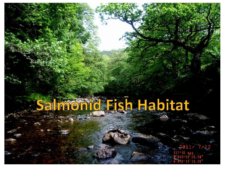 Salmonid Fish Habitat 