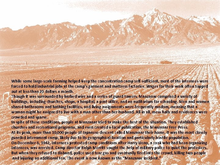 While some large-scale farming helped keep the concentration camp self-sufficient, most of the internees