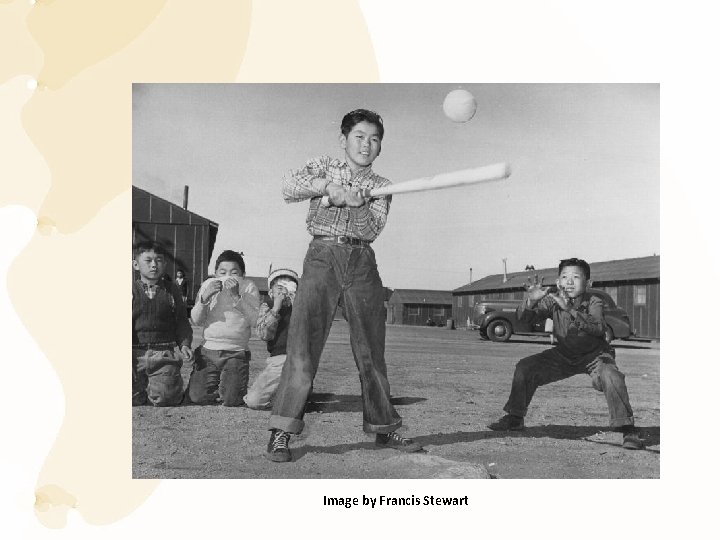 Image by Francis Stewart 