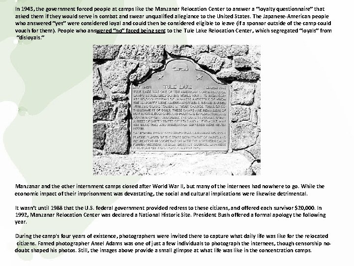 In 1943, the government forced people at camps like the Manzanar Relocation Center to