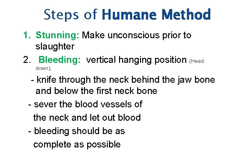 Steps of Humane Method 1. Stunning: Make unconscious prior to slaughter 2. Bleeding: vertical