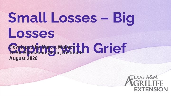 Small Losses – Big Losses Coping with Grief Developed by Marcia Wallace TEEA Education