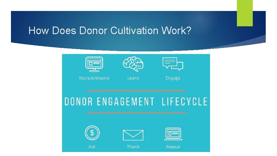 How Does Donor Cultivation Work? 