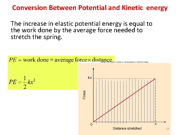 Conversion Between Potential and Kinetic energy The increase in elastic potential energy is equal