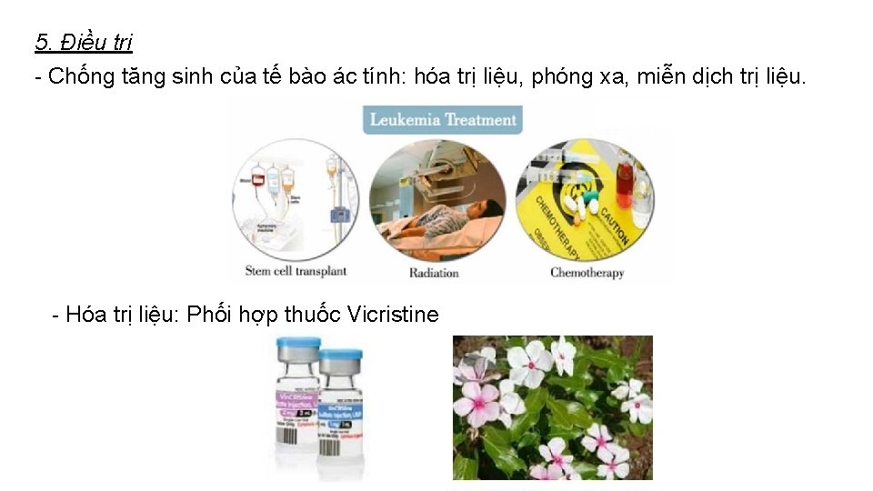 5. Điều trị - Chống tăng sinh của tế bào ác tính: hóa trị