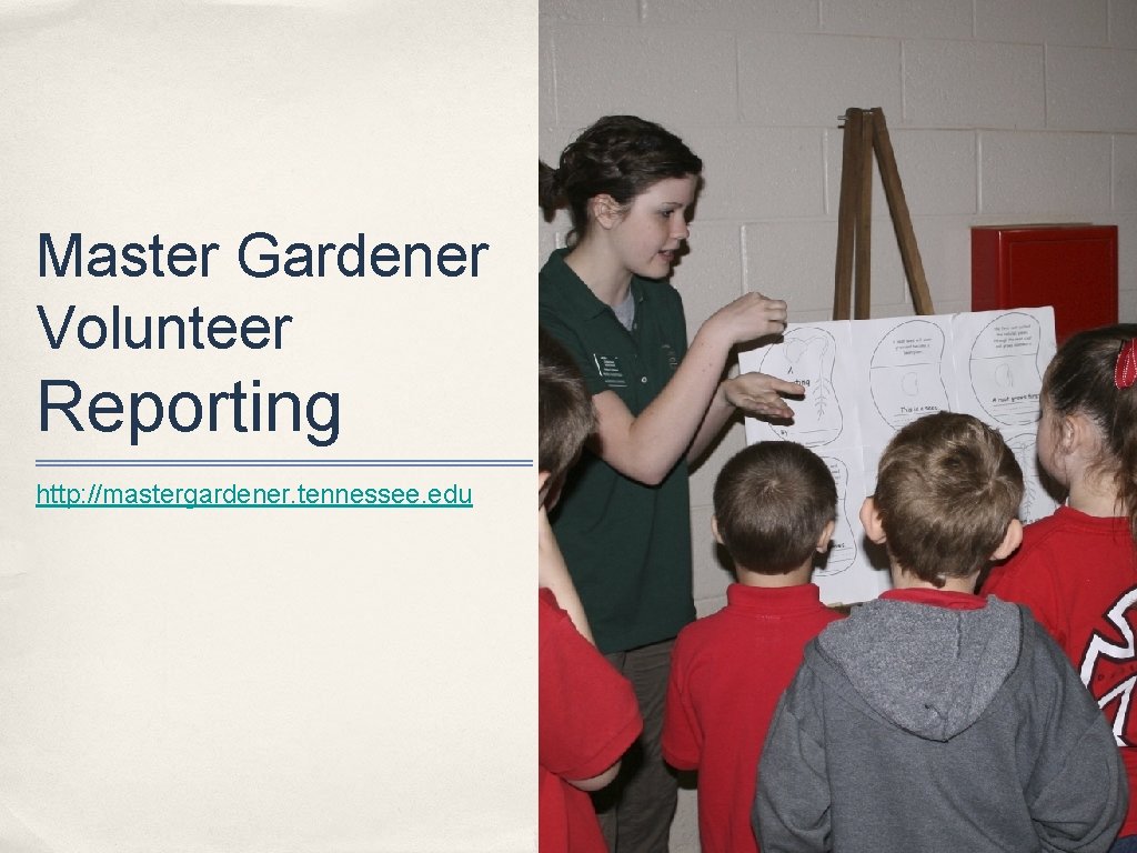 Master Gardener Volunteer Reporting http: //mastergardener. tennessee. edu 