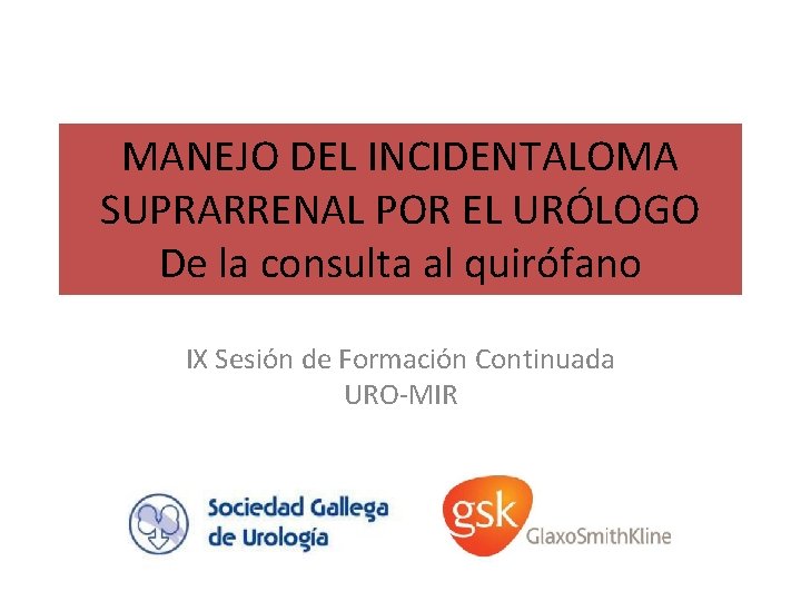 MANEJO DEL INCIDENTALOMA SUPRARRENAL POR EL URÓLOGO De la consulta al quirófano IX Sesión MANEJO DEL INCIDENTALOMA SUPRARRENAL POR EL URÓLOGO De la consulta al quirófano IX Sesión