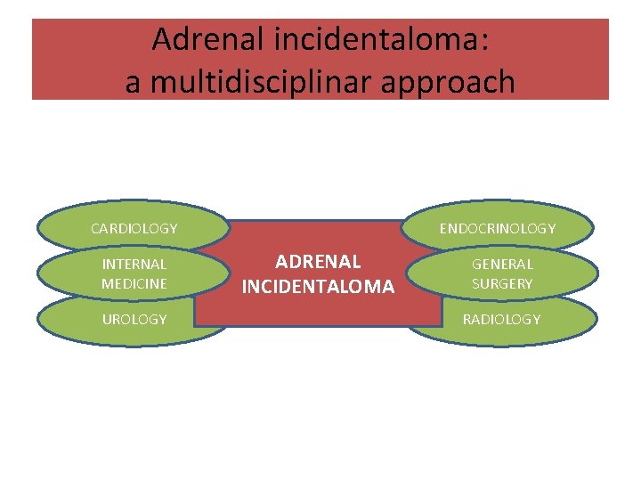 Adrenal incidentaloma: a multidisciplinar approach CARDIOLOGY INTERNAL MEDICINE UROLOGY ENDOCRINOLOGY ADRENAL INCIDENTALOMA GENERAL SURGERY Adrenal incidentaloma: a multidisciplinar approach CARDIOLOGY INTERNAL MEDICINE UROLOGY ENDOCRINOLOGY ADRENAL INCIDENTALOMA GENERAL SURGERY