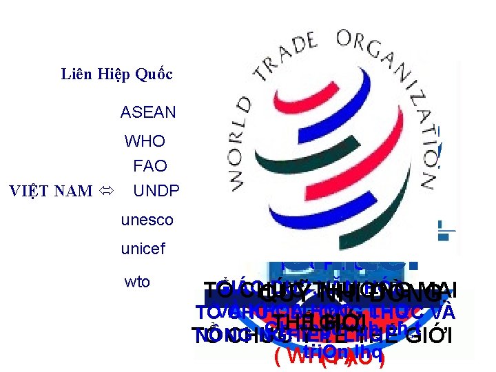 Liên Hiệp Quốc ASEAN WHO FAO VIỆT NAM UNDP unesco unicef wto TỔ CHỨC