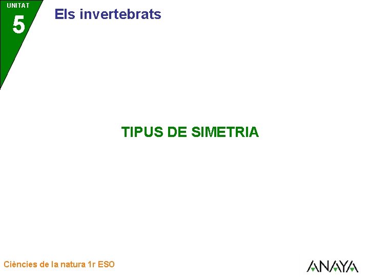 UNITAT 5 Els invertebrats TIPUS DE SIMETRIA Ciències de la natura 1 r ESO