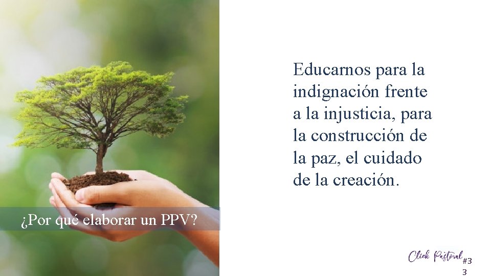 Educarnos para la indignación frente a la injusticia, para la construcción de la paz,