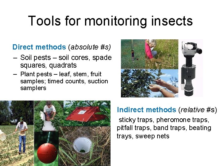 Tools for monitoring insects Direct methods (absolute #s) – Soil pests – soil cores,