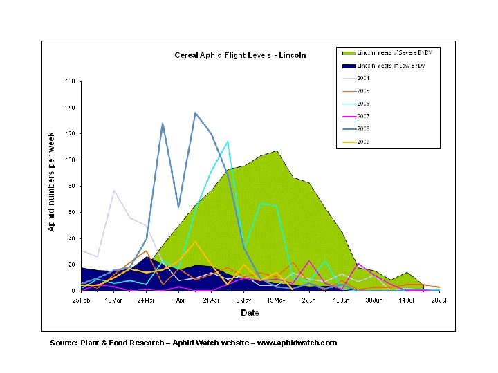 Source: Plant & Food Research – Aphid Watch website – www. aphidwatch. com 