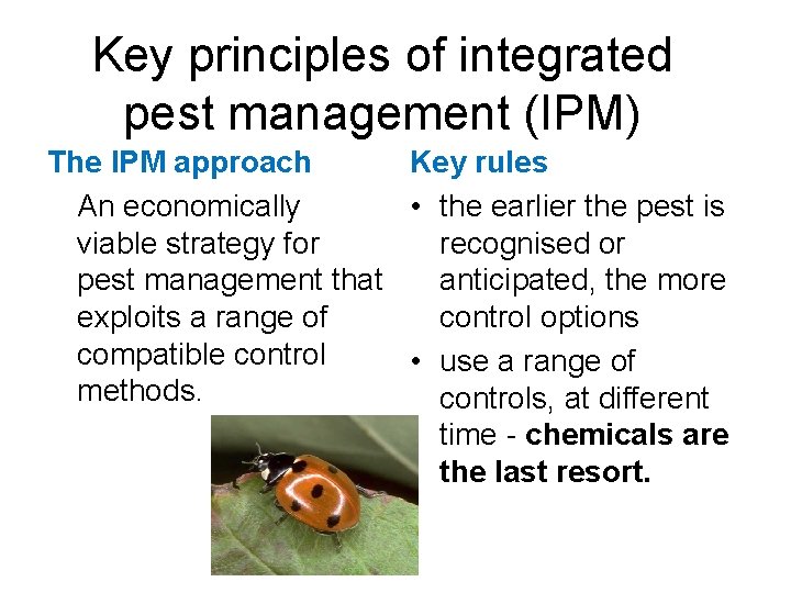 Key principles of integrated pest management (IPM) The IPM approach Key rules An economically