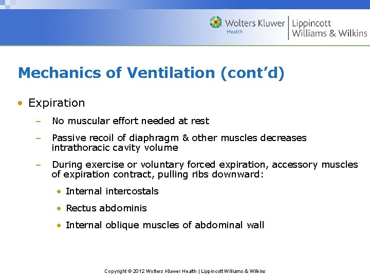 Mechanics of Ventilation (cont’d) • Expiration – No muscular effort needed at rest –