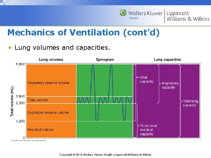 Mechanics of Ventilation (cont’d) • Lung volumes and capacities. Copyright © 2012 Wolters Kluwer