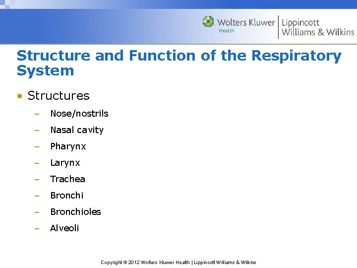 Structure and Function of the Respiratory System • Structures – Nose/nostrils – Nasal cavity