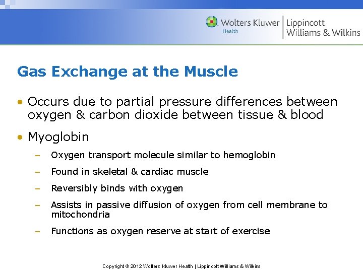 Gas Exchange at the Muscle • Occurs due to partial pressure differences between oxygen