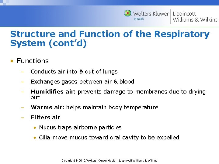 Structure and Function of the Respiratory System (cont’d) • Functions – Conducts air into