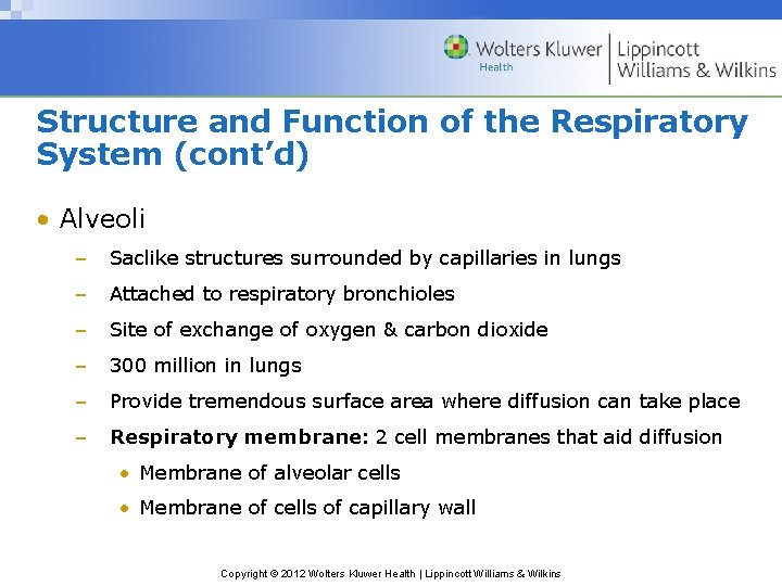 Structure and Function of the Respiratory System (cont’d) • Alveoli – Saclike structures surrounded