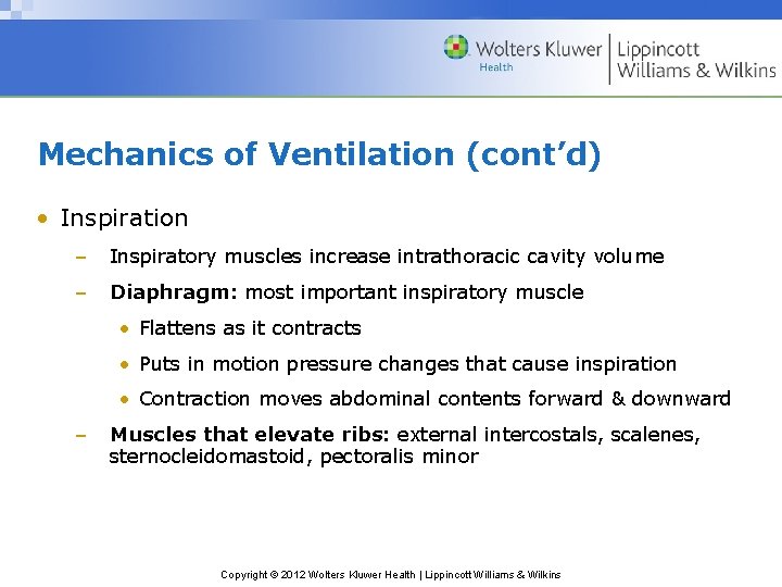 Mechanics of Ventilation (cont’d) • Inspiration – Inspiratory muscles increase intrathoracic cavity volume –