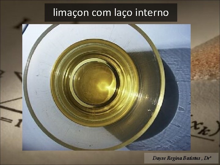 limaçon com laço interno Dayse Regina Batistus , Drª 