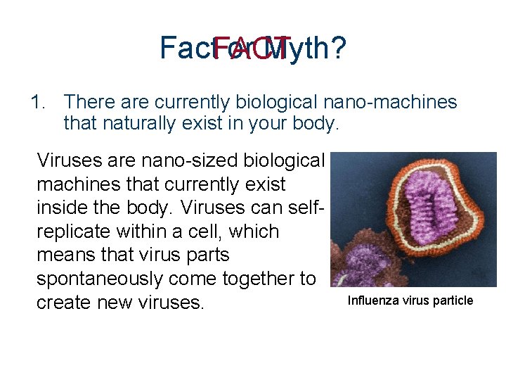 Fact. FACT or Myth? 1. There are currently biological nano-machines that naturally exist in