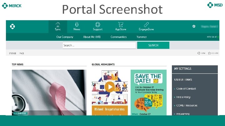 Portal Screenshot 3 