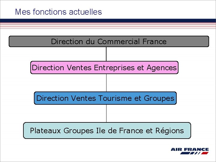 Mes fonctions actuelles Direction du Commercial France Direction Ventes Entreprises et Agences Direction Ventes