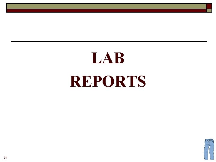 LAB REPORTS 31 