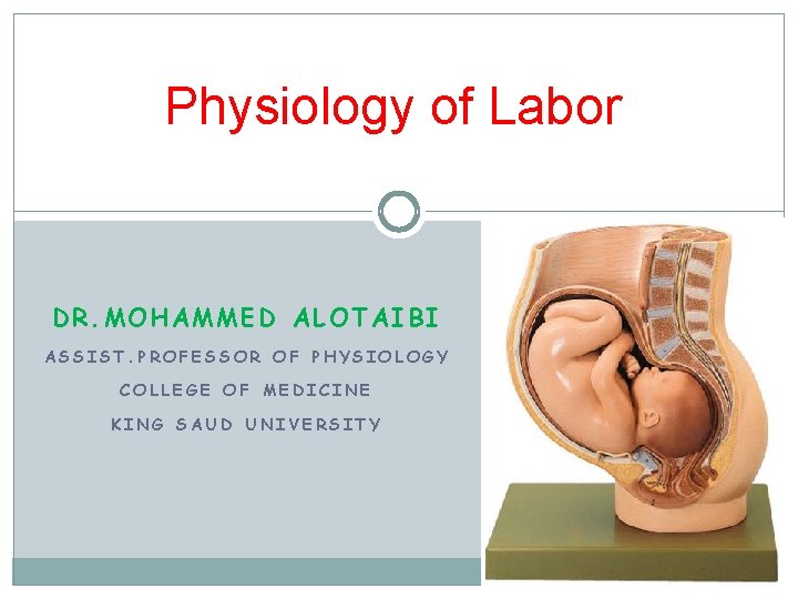 Physiology of Labor DR. MOHAMMED ALOTAIBI ASSIST. PROFESSOR OF PHYSIOLOGY COLLEGE OF MEDICINE KING