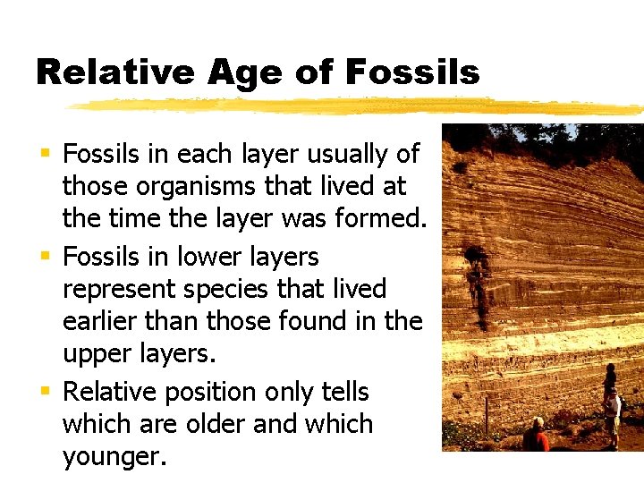 Relative Age of Fossils § Fossils in each layer usually of those organisms that