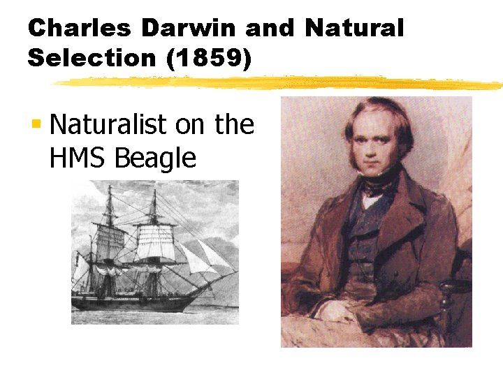 Charles Darwin and Natural Selection (1859) § Naturalist on the HMS Beagle 